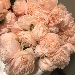 Meet your Posher, Colette